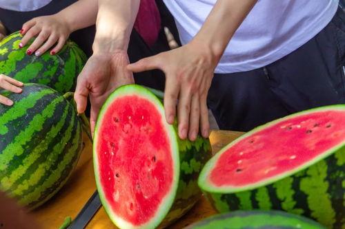 免费吃瓜途径,轻松解锁美食盛宴的秘密通道  第2张